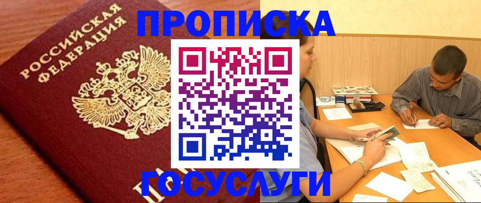 форма 3 в Сольцах